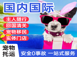 二连浩特赛乌素机场空运国际宠物托运 【国